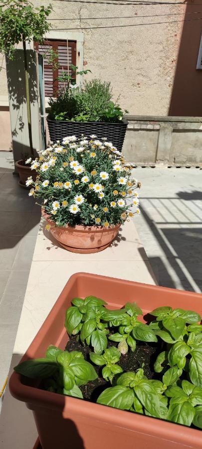 קרס Luxury Apartment - Old Soul With A New Heart מראה חיצוני תמונה